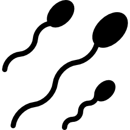 human-sperm